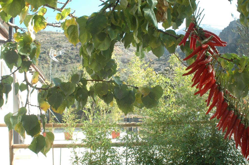 Cortijo Los Cahorros Sierra Nevada Monachil Εξωτερικό φωτογραφία