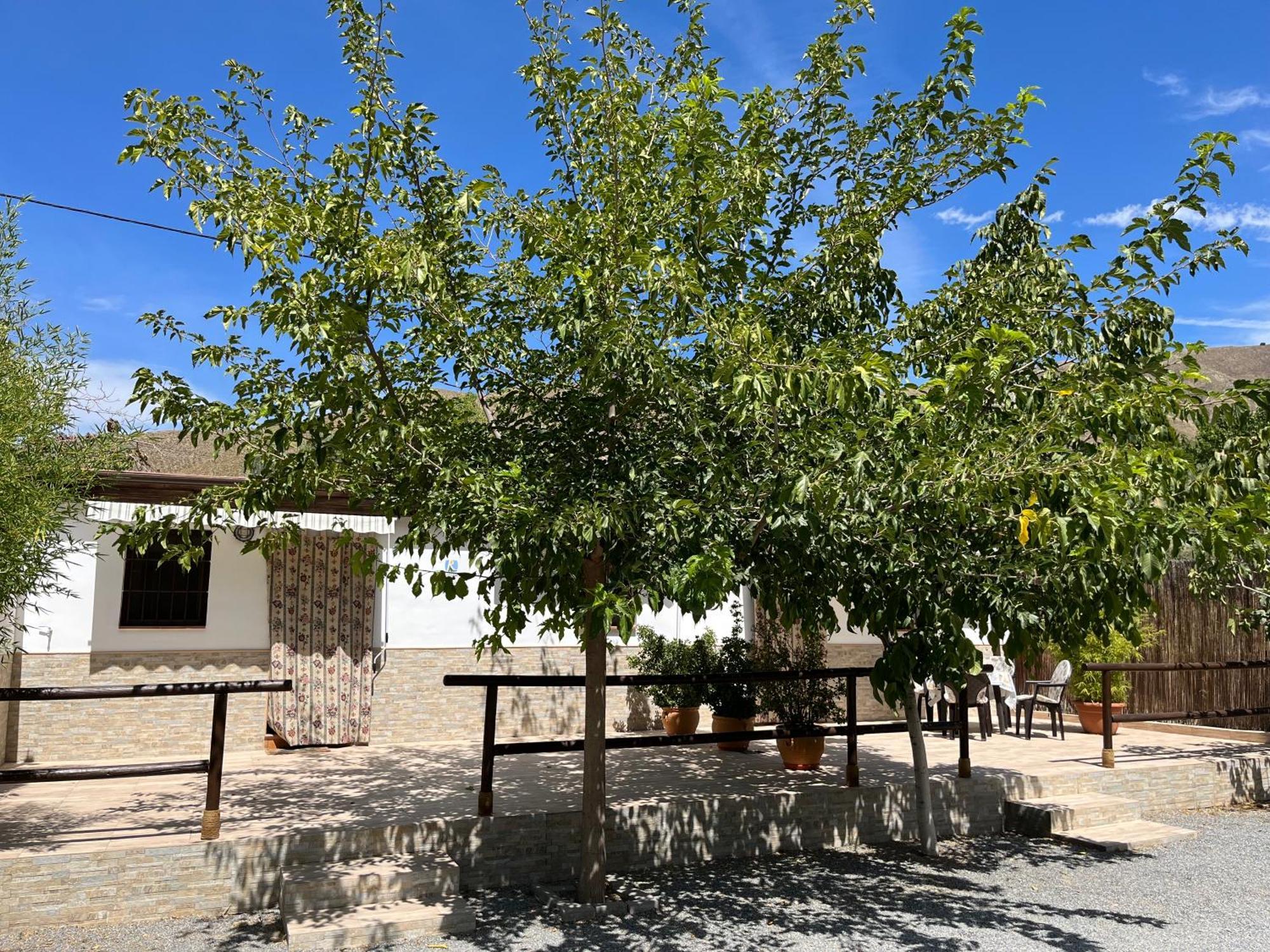 Cortijo Los Cahorros Sierra Nevada Monachil Εξωτερικό φωτογραφία